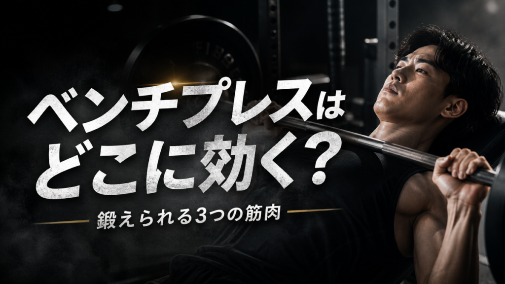 ベンチプレスで鍛えられる胸・肩・腕の効果部位のイメージ